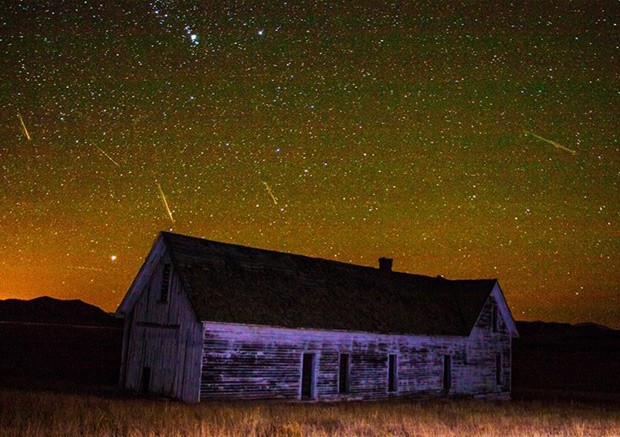 Imagem composta de várias fotos tiradas durante a chuva de meteoros Orionídeas mostra alguns dos meteoros que cruzaram o céu no dia 21 de outubro em South Park, no estado de Colorado (Foto: Reprodução/Facebook/Joe Randall)