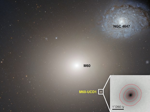 Imagem feita pelo telescópio espacial Hubble mostra a galáxia anã M60-UCD1, ponto claro abaixo e à direita da galáxia maior, M60  (Foto: NASA/Space Telescope Science Institute/European Space Agency )