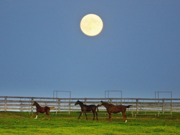 Lua observada em fazenda de Halton Hills, no Canadá (Foto: Hyungwon Kang/Reuters)