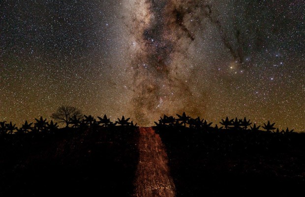 Imagem do caminho estelar (Foto: Leonardo Ariza via BBC)