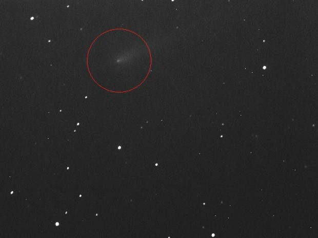 Cometa ison é fotografado no céu do Ceará quando passava pela constelação de leão (Foto: CASF/Divulgação)