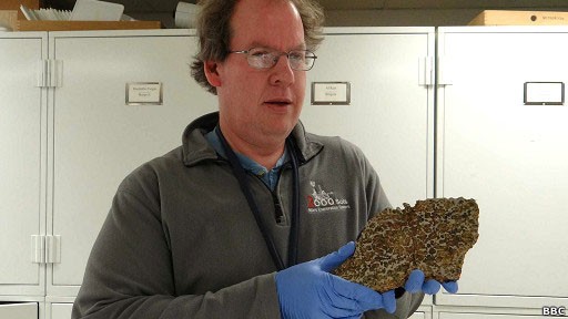 Timothy McCoy gerencia um acervo de 35 mil amostras de meteoritos (Foto: BBC)