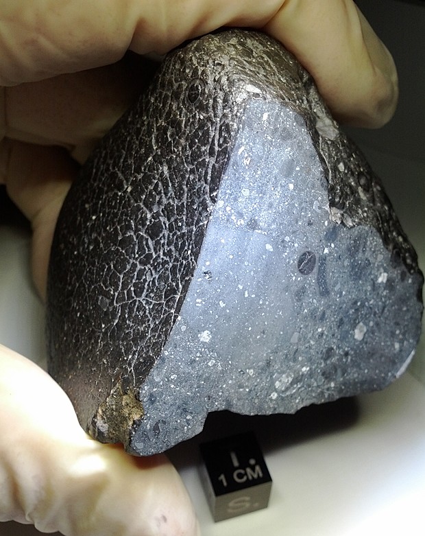 Meteorito Marte (Foto: Nasa)