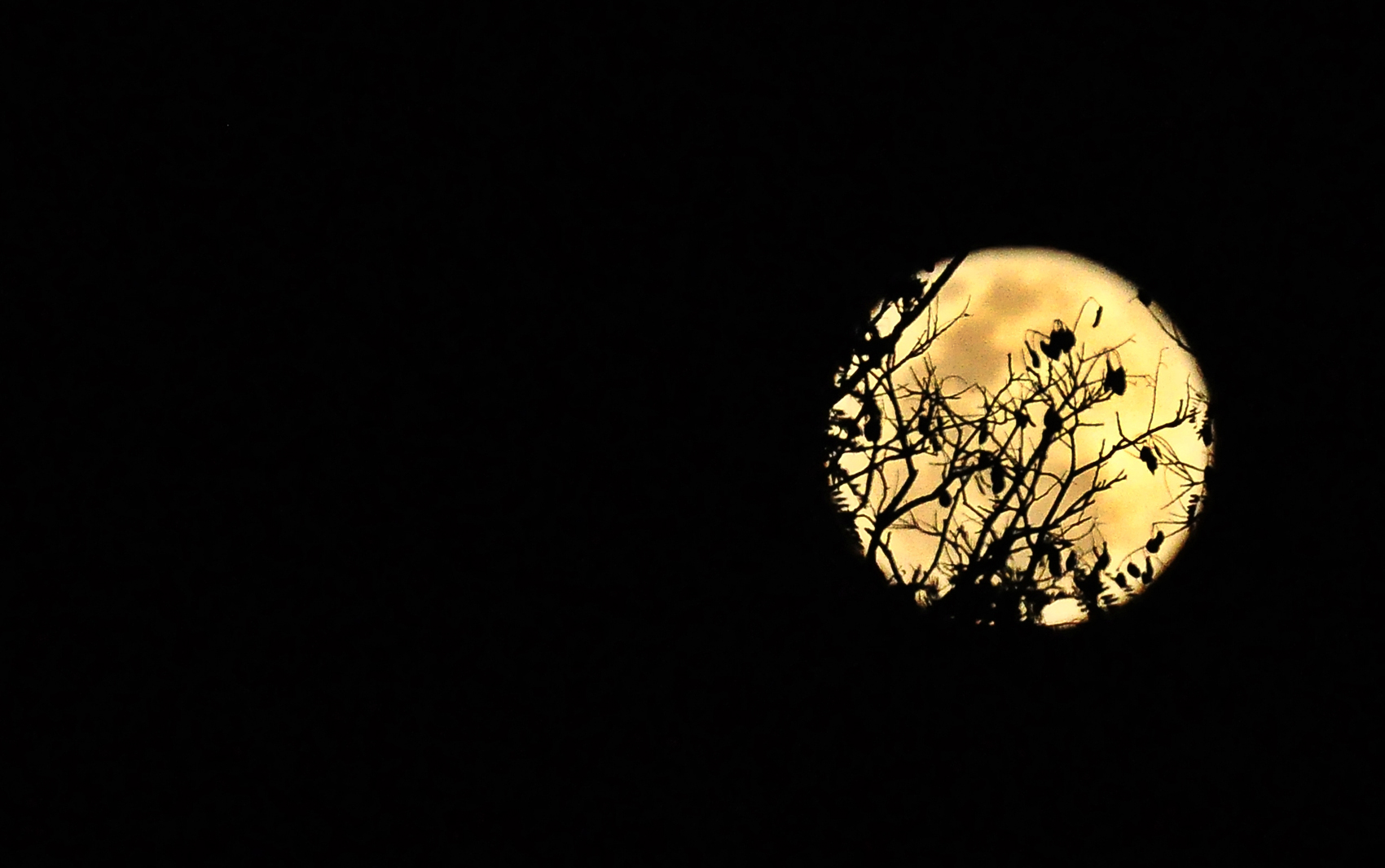 Lua clicada em Uberlândia (MG) por leitora do G1